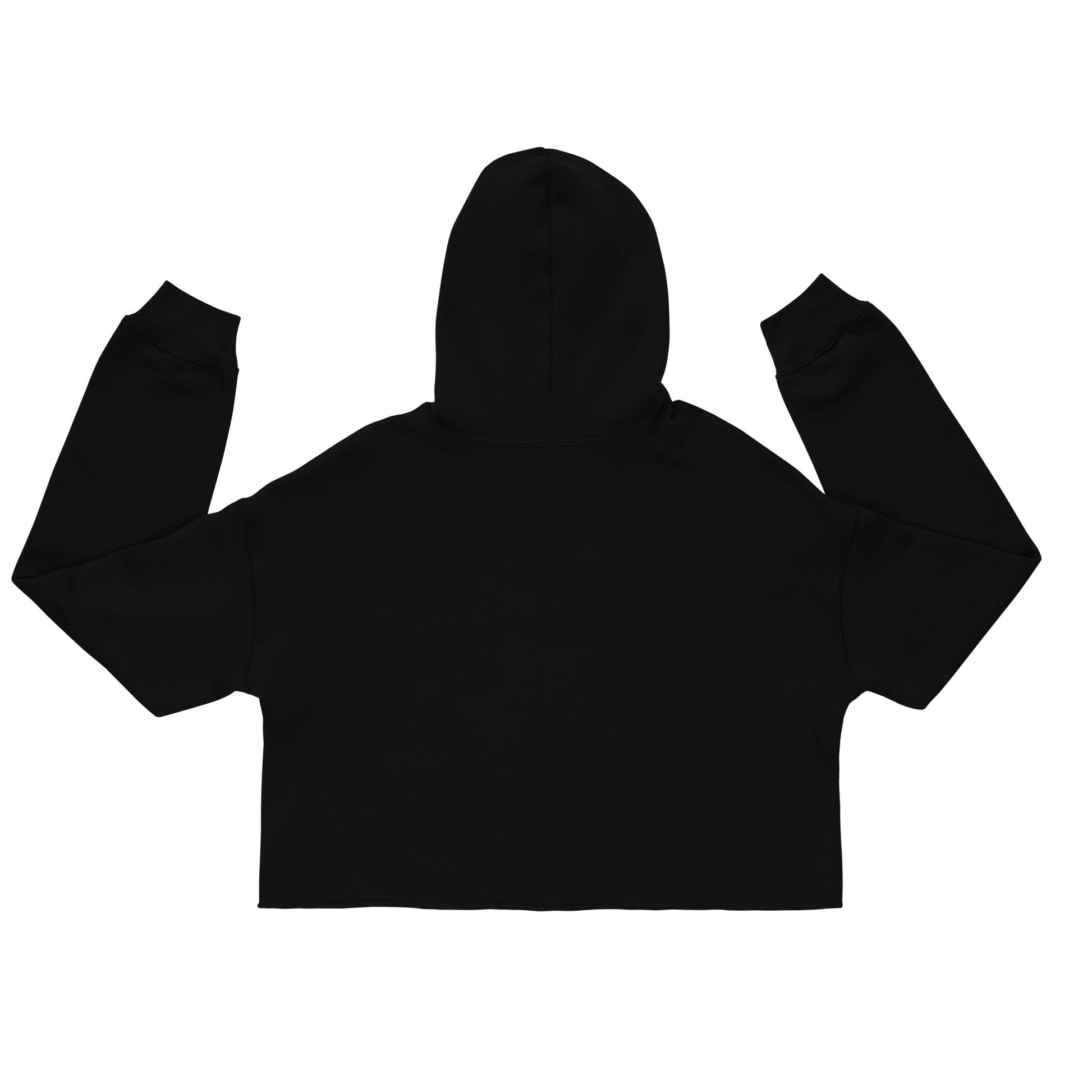 Embroidery Crop Hoodie