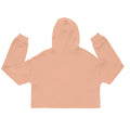 Embroidery Crop Hoodie