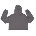 Embroidery Crop Hoodie
