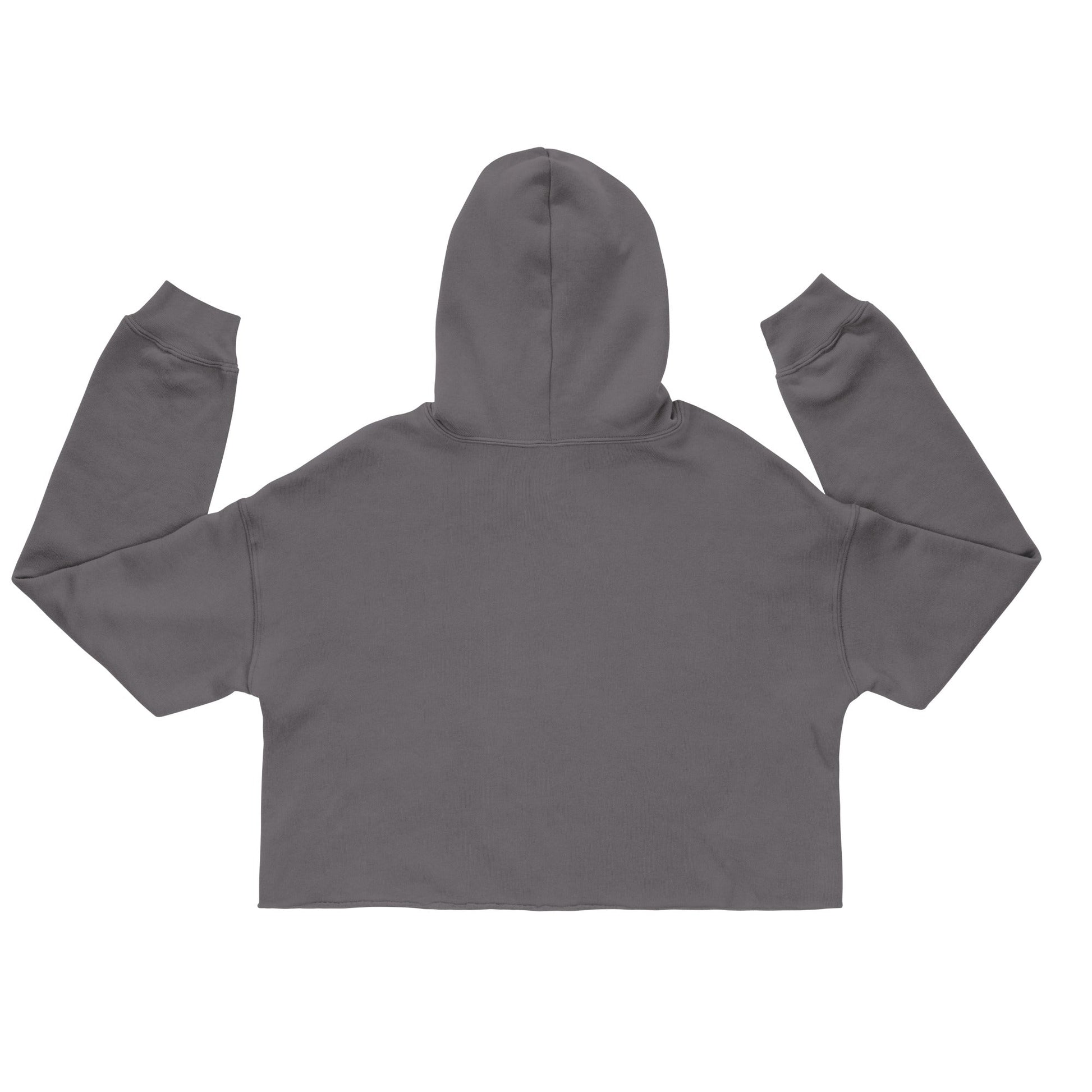Embroidery Crop Hoodie